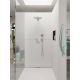 Raindance E Douche de tête 300 1jet avec bras de douche (26238000)