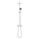 Colonne de douche avec mitigeur monocommande "Vitalio Start System 250", Chrome