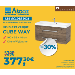 Meuble de salle de bain avec vasque Naturel Cube Way 100x40 cm chêne wellington (CUBE2100ZDW)