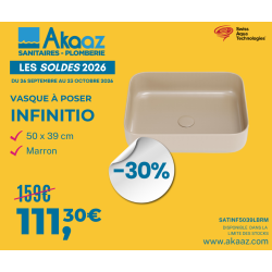 Swiss Aqua Technologies Infinitio Vasque à poser 50x39 cm, sans trop-plein, Marron mat (SATINF5039LBRM)