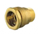 Raccord PE D25 Mâle 1/2