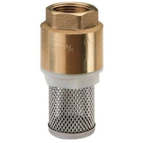 Clapet crépine Femelle 1"1/4
