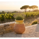 Pot en terre cuite Biot XL - 63cm , Terre cuite/miel