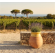 Pot en terre cuite Biot XL - 63cm , Terre cuite/miel