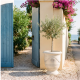 Pot en terre cuite Cylindrique 2XL - 80x90cm, Terre cuite creusée