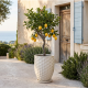 Pot en terre cuite Lutece XL - 53x43cm, Vert tropical