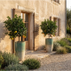 Pot en terre cuite Merovee 2XL - 55x65cm, Crème