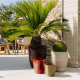 Pot en terre cuite 18x21cm Vauban XS,  Rouge Tropical